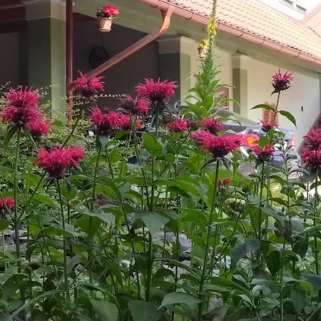 Pivnica A Pri Studni *