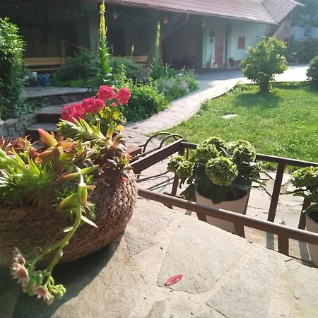 Pivnica A Pri Studni Guest house Detva
